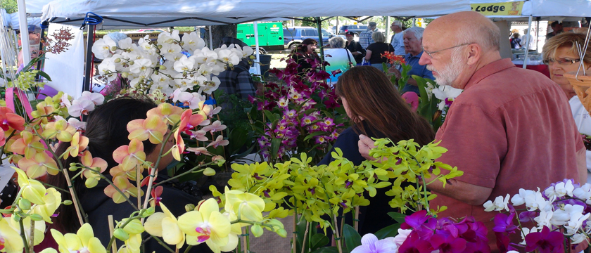Lifestyle, Amenities, Active Adult, Retirement, Expo, Activities