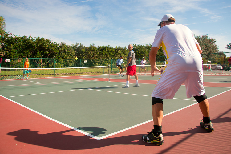pickleball resize